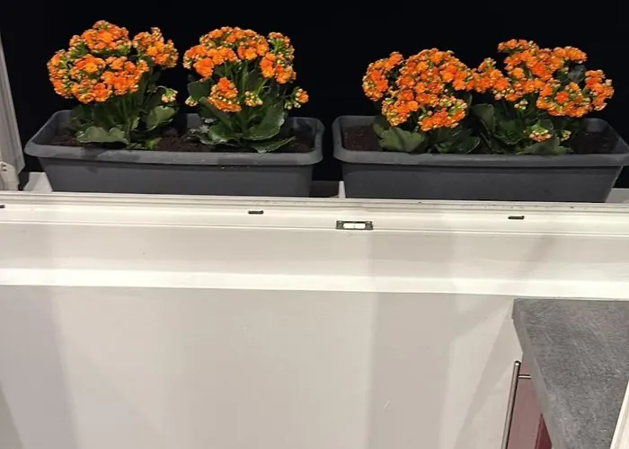 Cllosed A * Mérignac